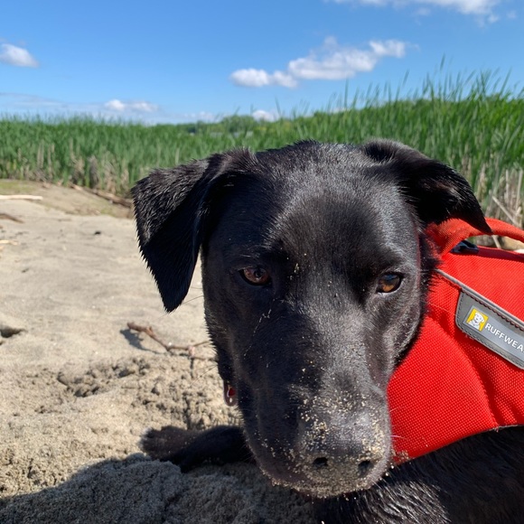 Meet your Posher, Katherine - Picture 1 of 1